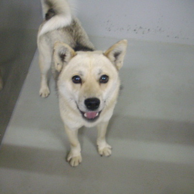 久留米市動物管理センター28005