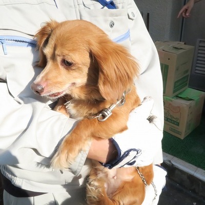 福岡県福岡市東部愛護管理センターd621	
