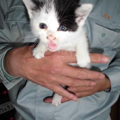 大牟田市動物管理センターNO：1