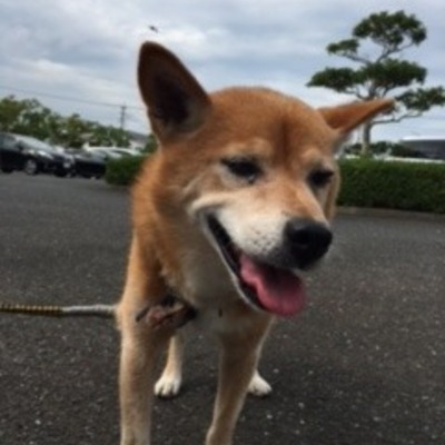 福岡県動物愛護センター	No.7016