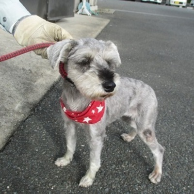 福岡県動物愛護センターNo.7276