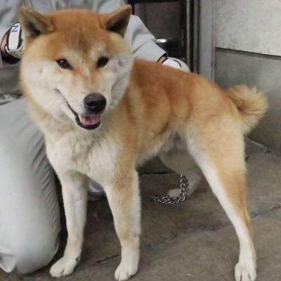 福岡県福岡市東部愛護管理センターd777