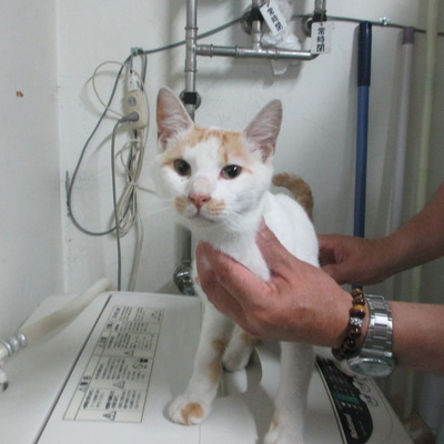 福岡県動物愛護センター