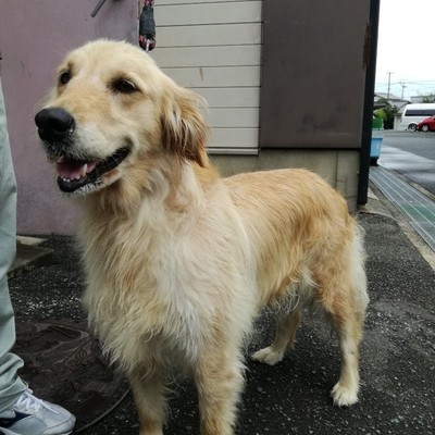 福岡県動物愛護センターNo.7777