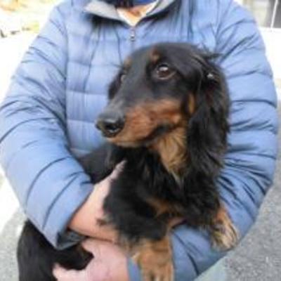 大牟田市動物管理センター（平成30年1月30日保護）