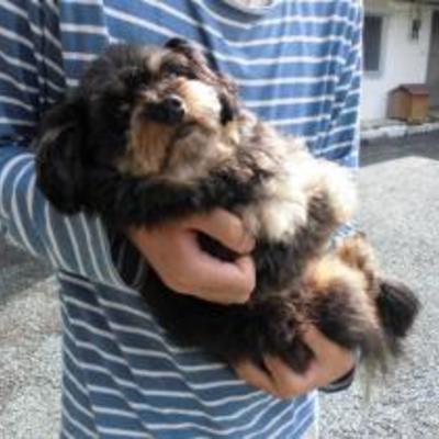 大牟田市動物管理センターNO:1