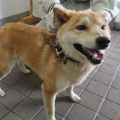福岡県福岡市東部愛護管理センターd1069