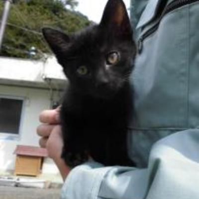 大牟田市動物管理センターNO:1