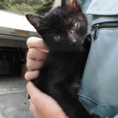 大牟田市動物管理センターNO:2