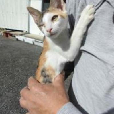 大牟田市動物管理センターNO:3
