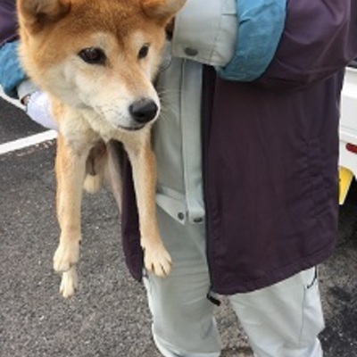 福岡県動物愛護センターNo.8925