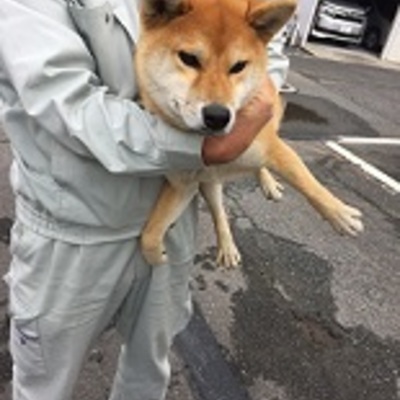 福岡県動物愛護センターNo.8932