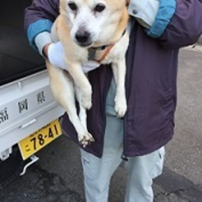 福岡県動物愛護センターNo.8934