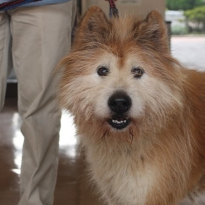 北九州市保健福祉局保健医療部動物愛護管理センターC19001