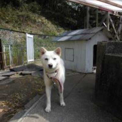 大牟田市動物管理センターNO:2