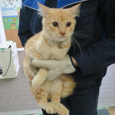福岡県福岡市東部愛護管理センターc3043