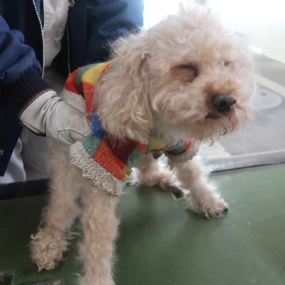 福岡市東部動物愛護管理センター　ｄ1344