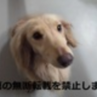 久留米市動物管理センター1051 