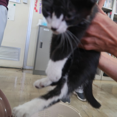 (福岡県福岡市)東部動物愛護センター ｃ3312