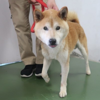 (福岡県福岡市)東部動物愛護センター d1384
