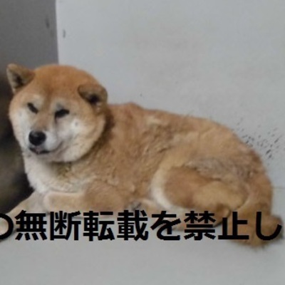 久留米市動物管理センター2016