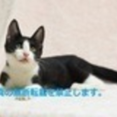 久留米市動物管理センター J20011