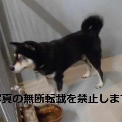 久留米市動物管理センター2020