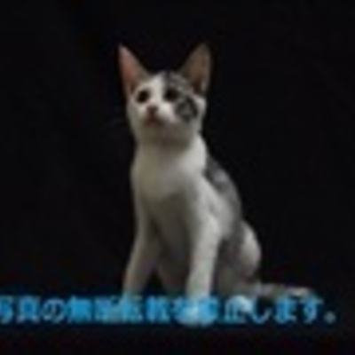 久留米市動物管理センター J20016