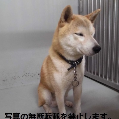 久留米市動物管理センター 2027