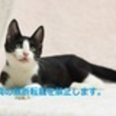 久留米市動物管理センター J20011