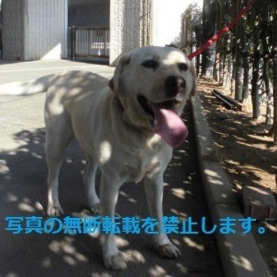 久留米市動物管理センター 2034
