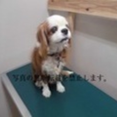 久留米市動物管理センター　2043