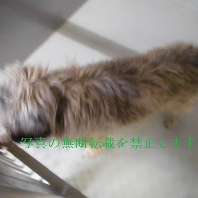 久留米市動物管理センター2048