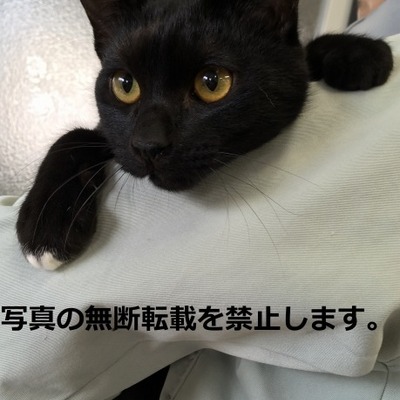 久留米市動物管理センター J20022