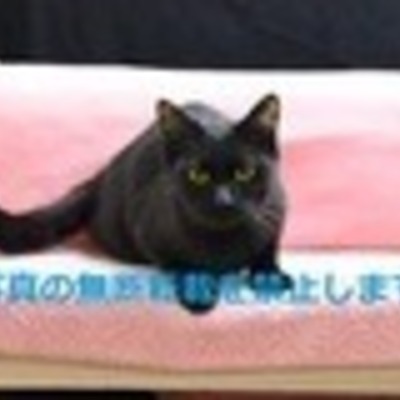 久留米市動物管理センター J20029