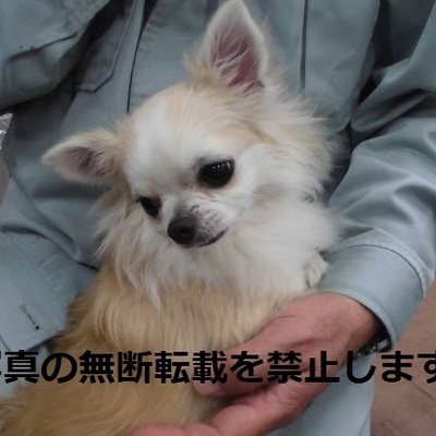 久留米市動物管理センター 2050