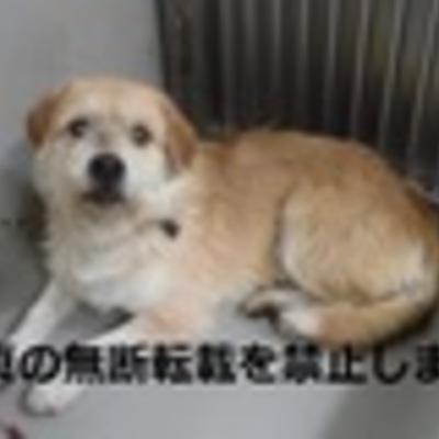 久留米市動物管理センター 2051