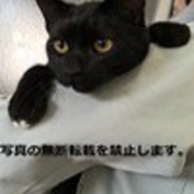 久留米市動物管理センター J20022