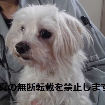 久留米市動物管理センター 2052