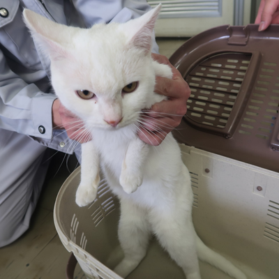 東部動物愛護管理センター c3472