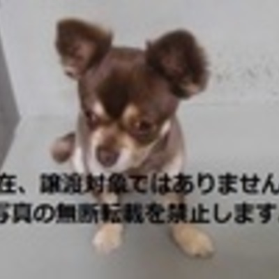 久留米市動物管理センター 2053
