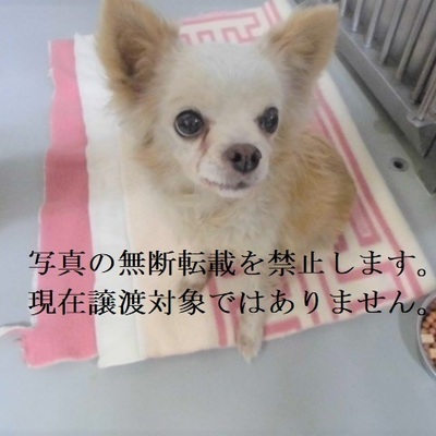 久留米市動物管理センター 3002