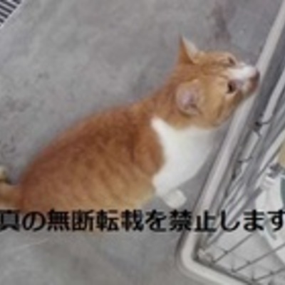 久留米市動物管理センター 3003