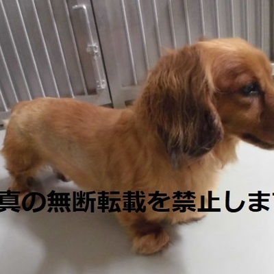 久留米市動物管理センター 3005