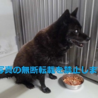 久留米市動物管理センター 3007