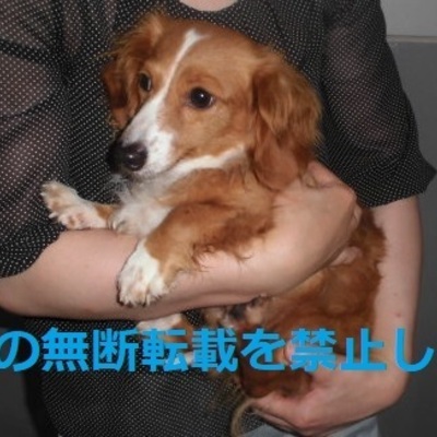 久留米市動物管理センター 3009