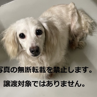 久留米市動物管理センター 3012