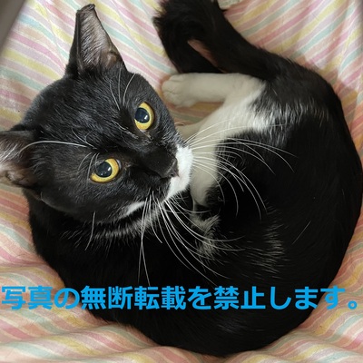 久留米市動物管理センター J3006