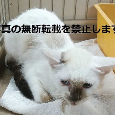 久留米市動物管理センター 3016