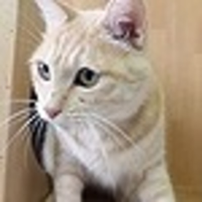 東部動物愛護管理センター c3673